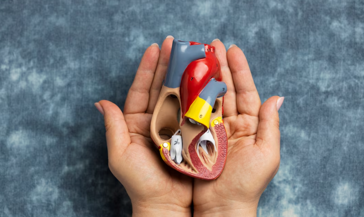 Misinformasi TBC Penyakit Orang Miskin: Klaim Calon Wakil Bupati Bima Rostiati